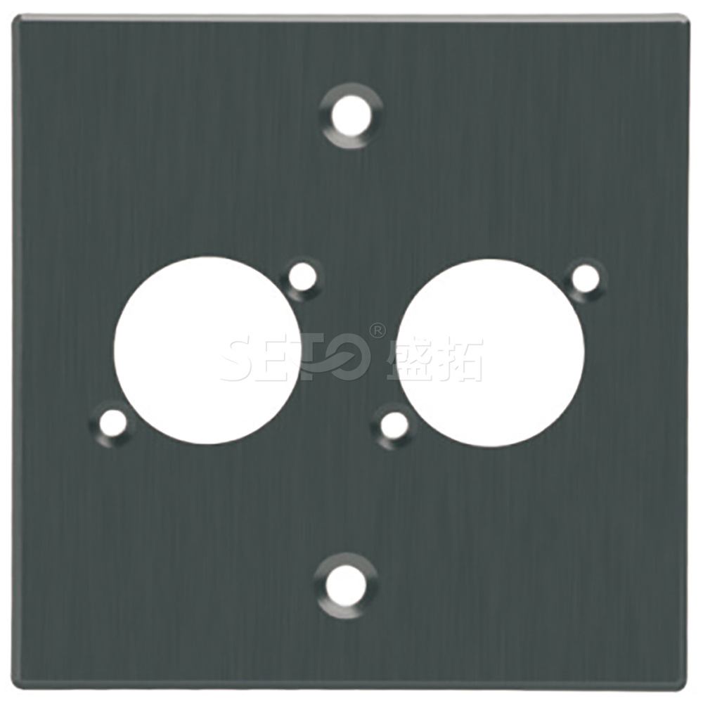 ST-D2Port-faceplate