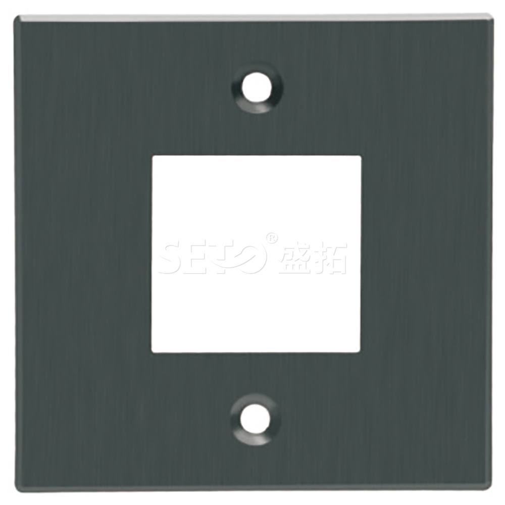 ST-CZ1port-faceplate