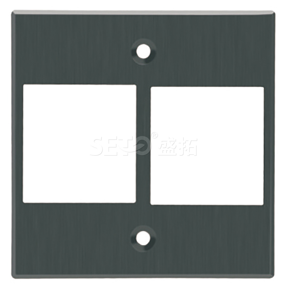 ST-CZ2port-faceplate