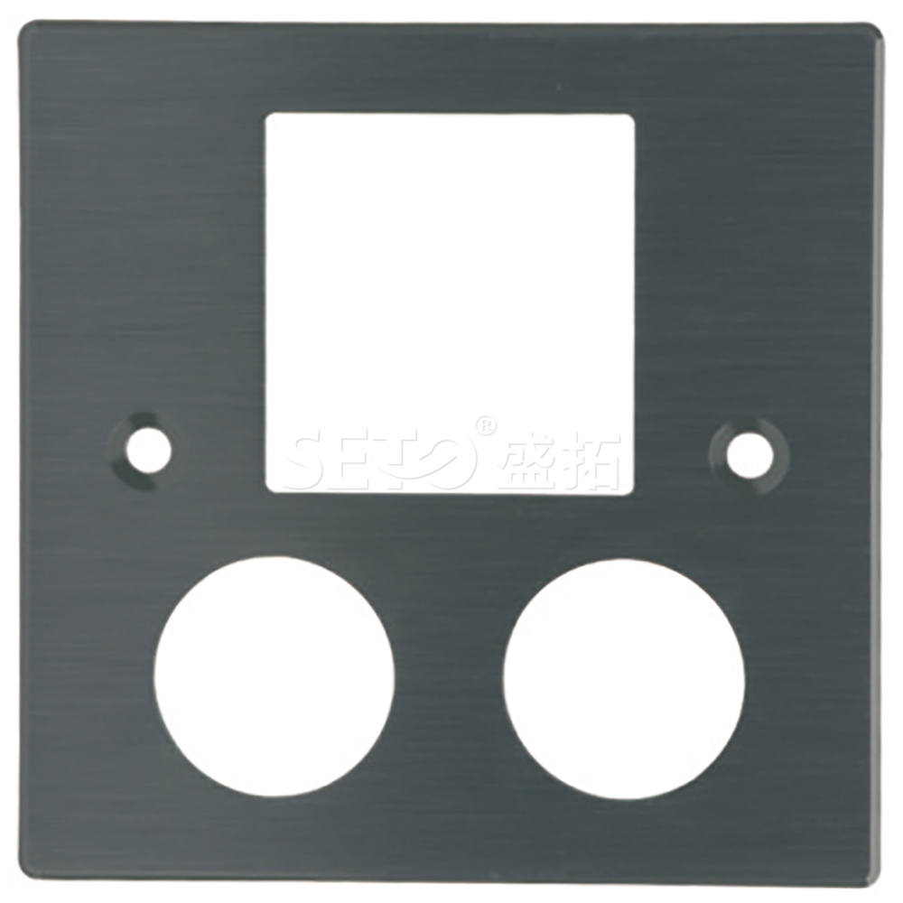 ST-CZ3port-faceplate